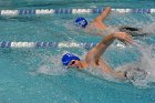 MSwim vs USCGA  Men’s Swimming & Diving vs US Coast Guard Academy. : MSwim, swimming